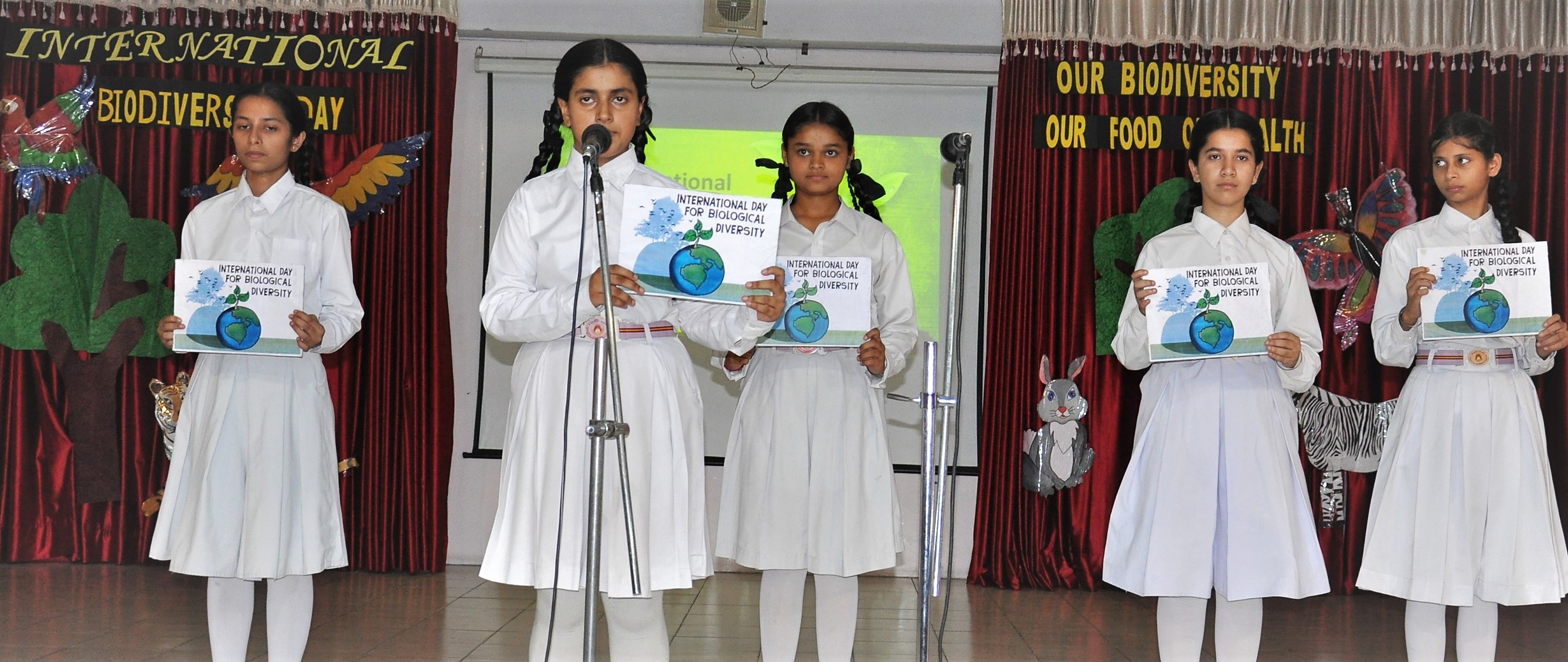 Carmel celebrated International Biodiversity Day on 29/5/2019